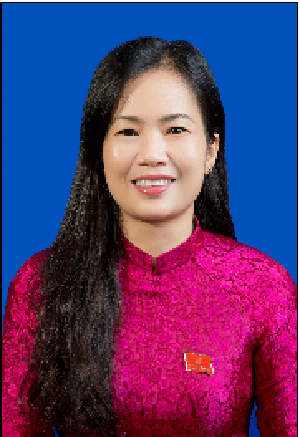 Hội đồng nhân dân huyện